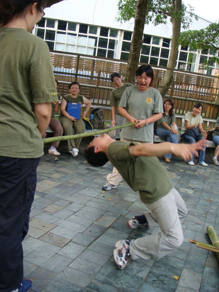 107_4a425e546e7b5.jpg 768X1024 px