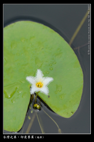135_47171927e8567.jpg 320X480 px