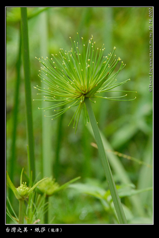 135_471719801fc29.jpg 320X480 px