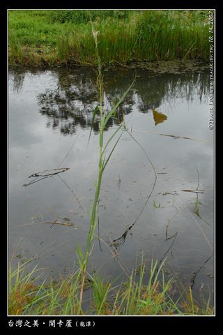 135_471719c531c4c.jpg 320X480 px