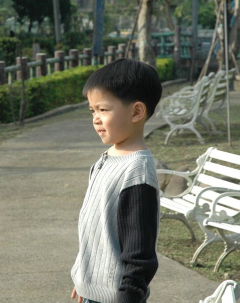 5_479b13bc59ffe.jpg 480X607 px