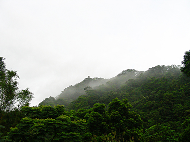 75_446b25efef498.jpg 378X283 px