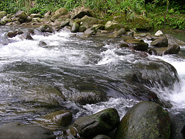 75_446b260a724b4.jpg 378X283 px