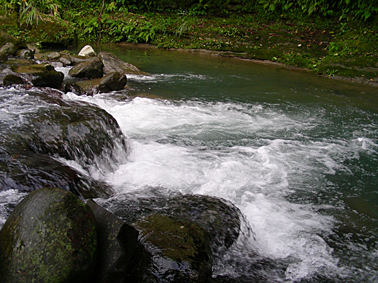 75_446b261b7fe4b.jpg 378X283 px