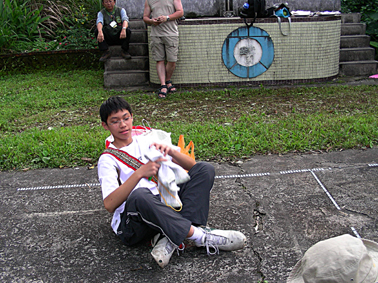 75_446ef8965aa25.jpg 378X283 px