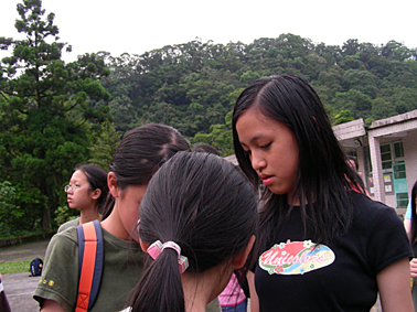 75_446ef9b10c008.jpg 378X283 px