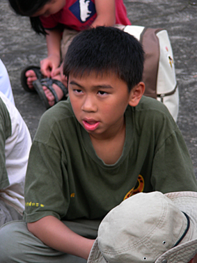 75_446efc4fb2ad0.jpg 283X378 px
