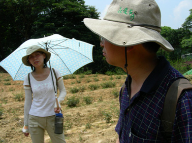 75_44c4ead2c5542.jpg 378X283 px