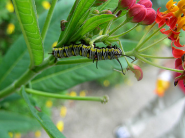 75_44c60eb7ad4e4.jpg 378X283 px